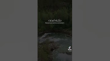 سورة الزلزلة - ماهر المعيقلي