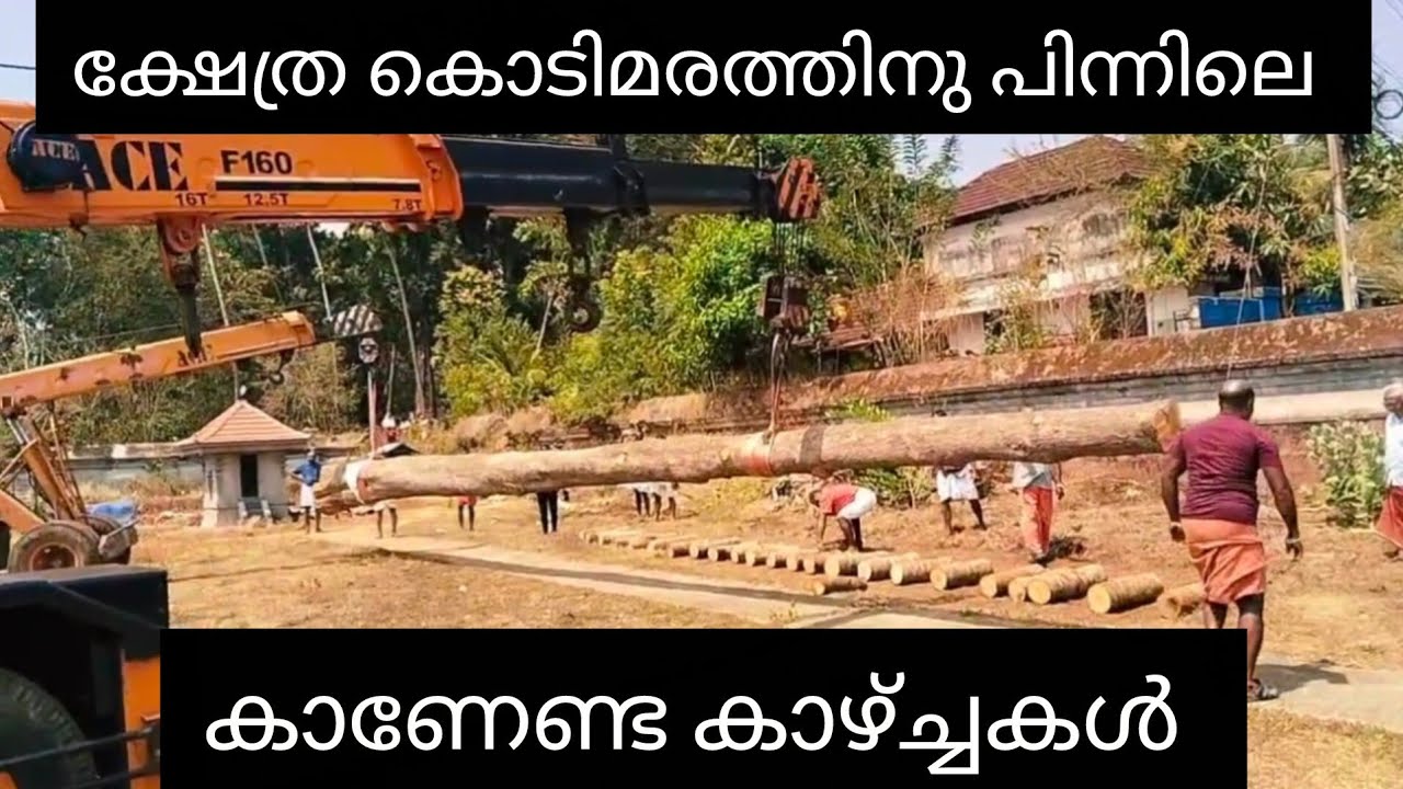 കൊടിമരം മുറിക്കുന്നത് മുതൽ എണ്ണയിൽ ഇടുന്നതുവരെ | തൈലാധിവാസം | വെങ്ങാനെല്ലൂർ മഹാശിവക്ഷേത്രം 2026