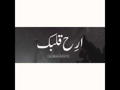 اللهم سعادة القلب و قرار العين و جميل البشائر و سجدة الفرح العميقة