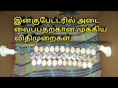 இன்குபேட்டரில் அடை வைப்பதற்கான முக்கிய விதிமுறைகள்/condition for incubator hatching method.