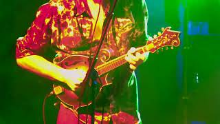 Andy Thorn & Friends - Vamp In The Middle - 42022