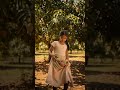 ছেলে বেলার পাকা আম কুড়ানোর মজা#shortsfeed #shortvideo #shorts #mango #mangopickle