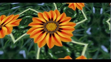 Flower  Kaleidoscope HD