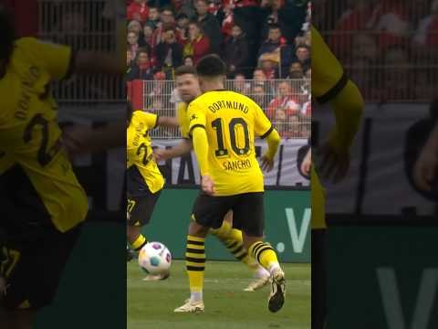 Sancho with the nutmeg 🥜
