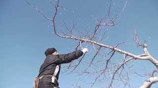 150120果研諏訪支部1412～実技