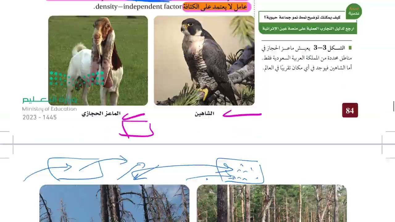 ديناميكية الجماعة الحيوية ( علم البيئة 1446 )