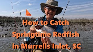 How to Catch Springtime Redfish in Murrells Inlet SC