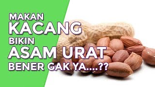 Makan Kacang Bikin Asam Urat, BENER GA YAA? (Part. 01) - MY MEAL