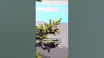 Understanding JPEG Compression: How Your Eyes Influence Image Quality