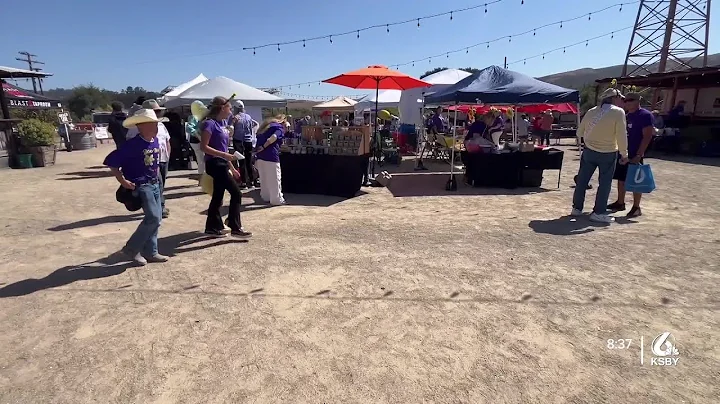 Relay for Life event raises money for cancer research