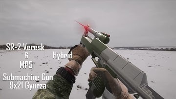 SR-2 Veresk + MP5 Hybrid Animation