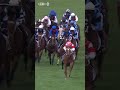 HALF YOURS and Jamie Melham win the #MelbourneCup! 🩵🖤