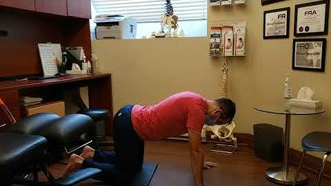 Segmental Spine Flexion & Extension ("Cat Cow")