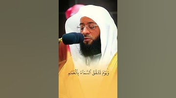 ترتيل هادئ ومميز لفضيلة الشيخ بدر التركي ماتيسر من سورة الفرقان.❤️