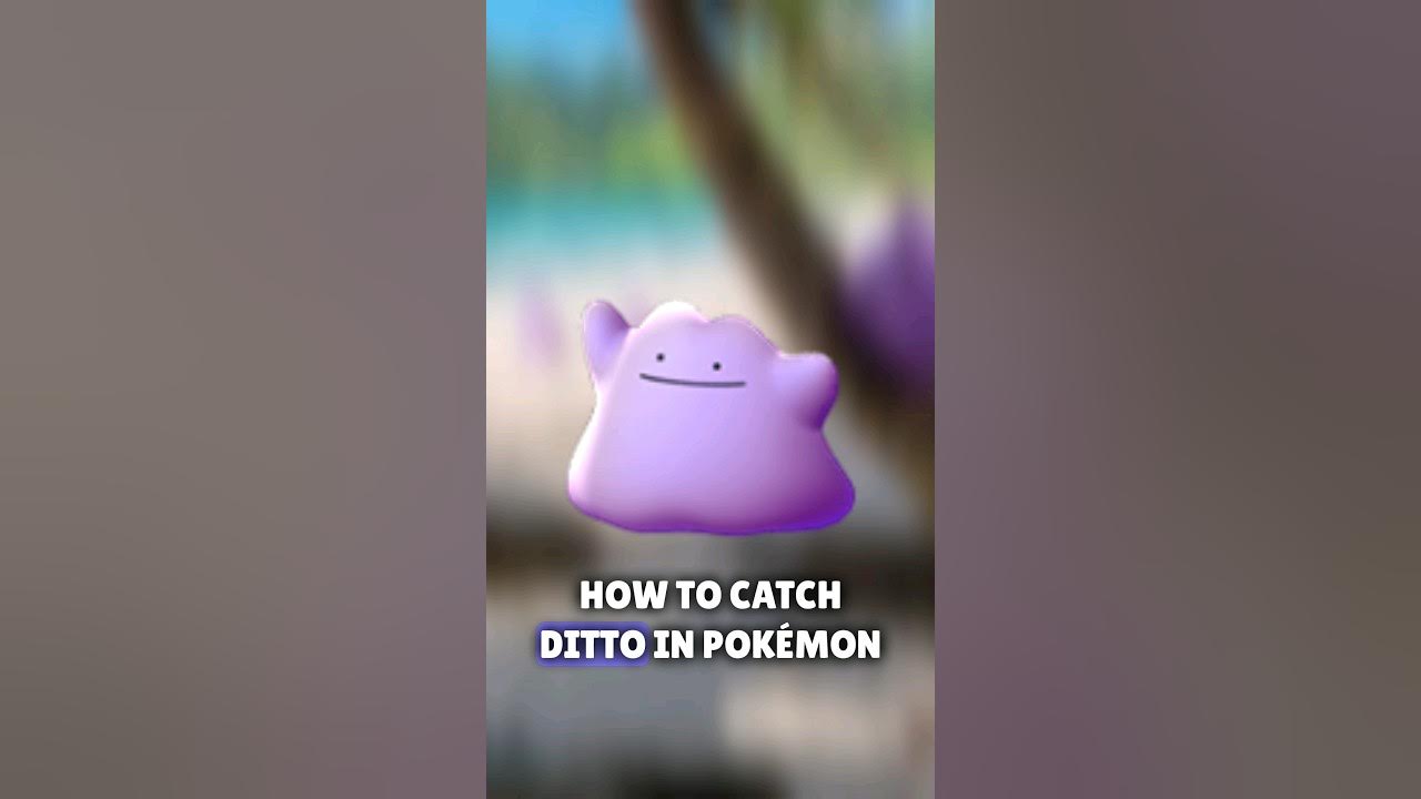 🔥BD98YT🔥 on X: 🔥 NEW TRICK ☆ HOW TO CATCH DITTO IN POKÉMON GO! ☆ HOW TO  FIND DITTO FOR MEW QUEST 5/8 🔥 WATCH ▷ PLEASE LIKE  👍 SHARE 🗣 SUBSCRIBE