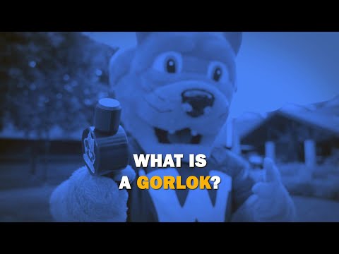What Is A Gorlok? | Webster University