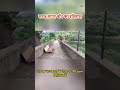 Sarju Sagar Baandh Hi Hai Kot Bandh | Kot Dam | Kot Baandh Ka Itihas