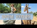 ВЛОГ. Афины Зоопарк. Что делать с детьми в Афинах? Кормим жирафов :)