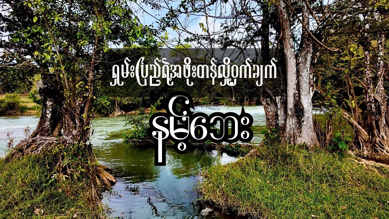 နမ့်ဘေး... ရှမ်းပြည်ရဲ့ အဖိုးတန်လျှို့ဝှက်ချက် (Nam Pe: The Hidden Gem of Shan State)