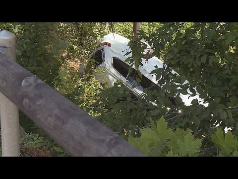 Urdorf ZH: Auto stürzt in Tobel