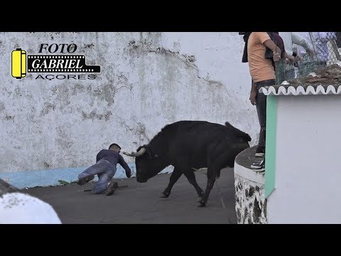 Tourada à corda na Vila de São Sebastião, São Sebastião, 13 de outubro de 2019