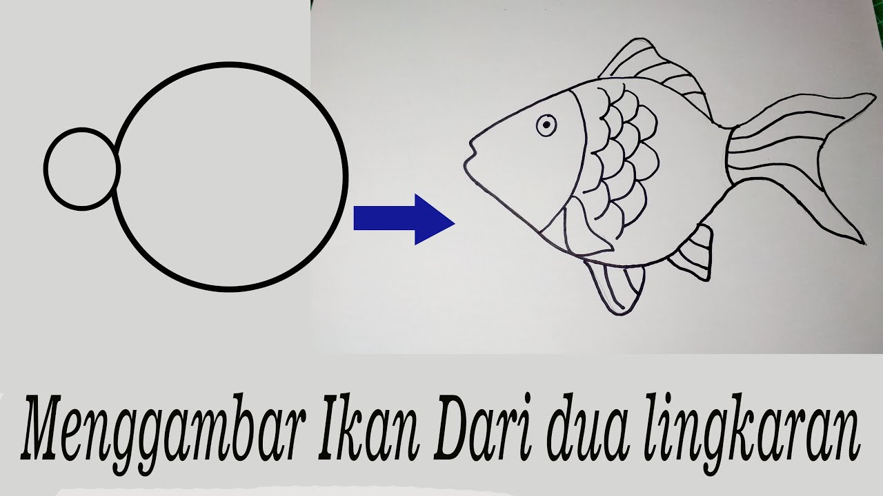 TUTORIAL MENGGAMBAR IKAN 