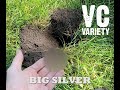 Nebraska Metal Detecting finds BIG SILVER