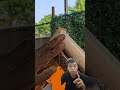 Tutorial Teknik Pengelasan Lengkap dan Mudah Dipahami #Pengelasan #TeknikPengelasan #Welding