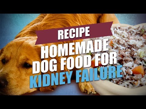 Homemade Dog Food for Kidney Failure
