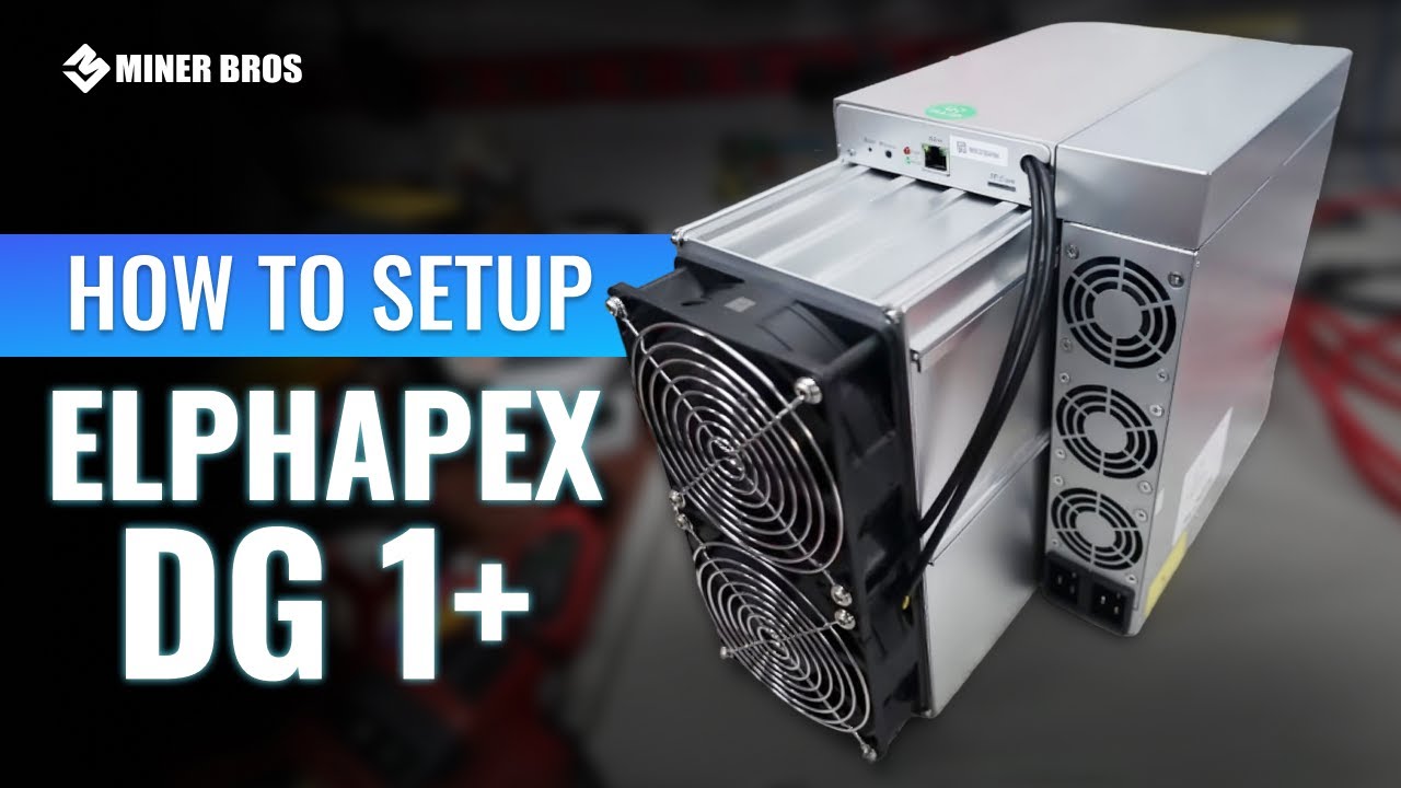 ElphaPex DG1+ Dogecoin Miner - CryptoMinerBros