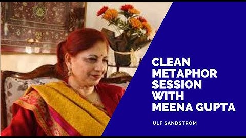 Clean Metaphor  Session Example