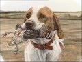 The Pointer - Pet Dog Documentary English の動画、YouTube動画。