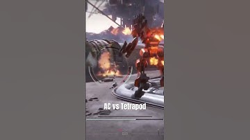AC vs Tetrapod