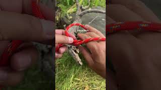 An Incredible Knot EVERYONE Must Know