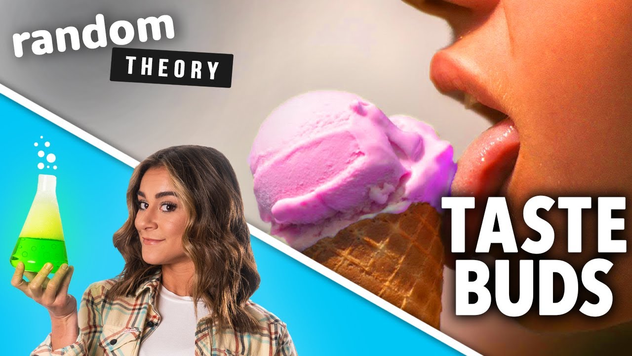 How Your Tongue Tastes - Random Theory EP. 26