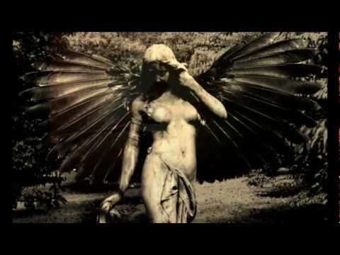 The Curse Of Celith Video