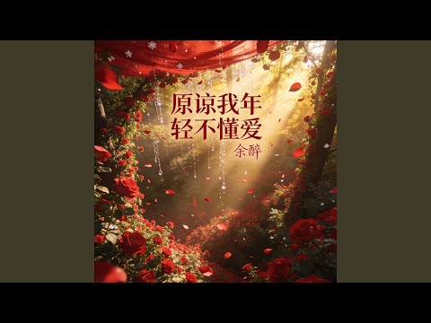 原谅我年轻不懂爱
