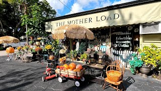 BONITA SPRINGS FLORIDA: A Magical Downtown Escape in 4K!