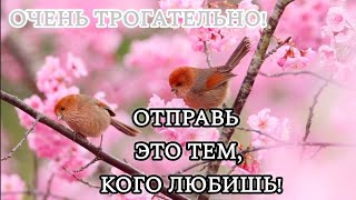 ДО СЛЁЗ КАК ТРОГАТЕЛЬНО! ДОБРОЕ Утро !  Музыкальная открытка | СТИХ #доброеутро