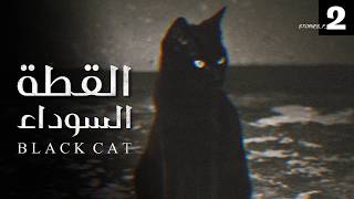 قصص جن : القطة السوداء .. (الجزء الاثاني).‼️💀