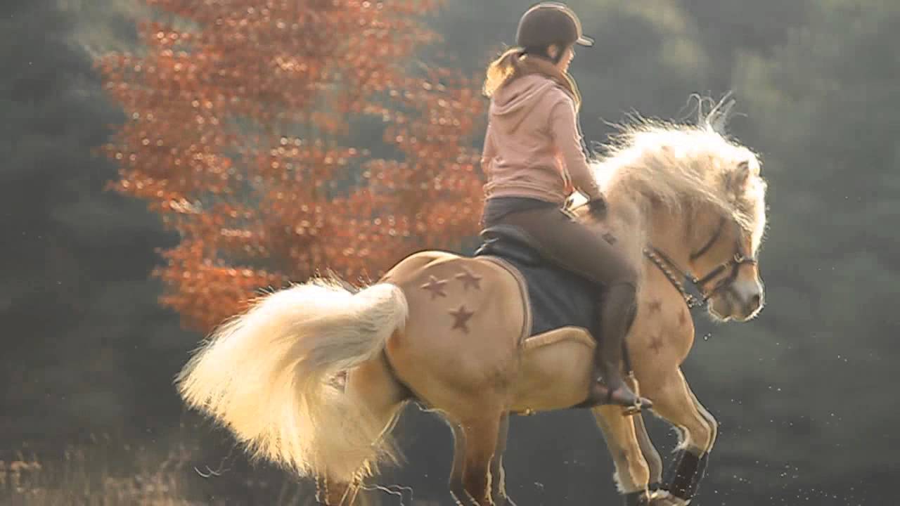 [MOVIE] Lisa & Nibbit; The fire Within..