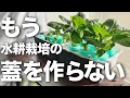 蓋作り卒業します！ふと思いついた「新発想の容器」が画期的すぎた　＃水耕栽培＃ダイソー＃百均＃100均＃室内栽培＃家庭菜園#小松菜リボベジ#リボベジ 