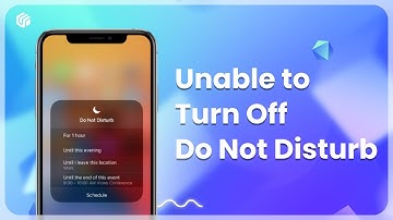 How to Turn Off Do Not Disturb Mode on iPhone 14 & iPhone 13