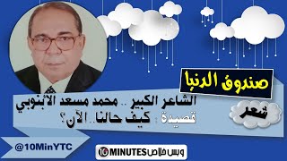 صندوق الدنيا│شعر│ قصيدة .. كيف حالنا الآن ؟