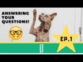 I ANSWER YOUR QUESTIONS 💬 - [Ep.1] - Infant Investors