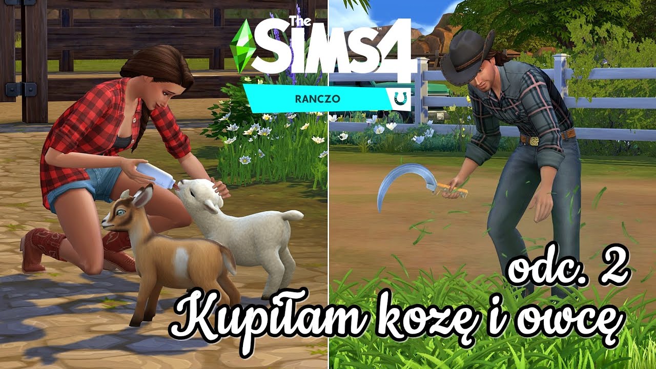 Najdroższa Rzecz W The Sims 4 Koniara #2 🐴 Miniaturowe kozy i owce 🐐🐑 RANCZO The Sims 4 🐎 - YouTube