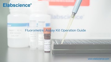 Fluorometric Assay Kit Experimental Operation Guide