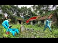 Time-Lapse:T he Team Panicked While Cleaning an Abandoned House — A Shocking Discovery in the Grass!