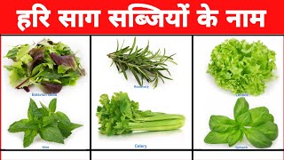 Know The Name Of Green Vegetable || Hindi And English || हरि साग सब्जियों के नाम ।। vegetable