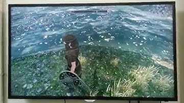 The Elder Scrolls V: Skyrim - Texture Flashing on an HDTV